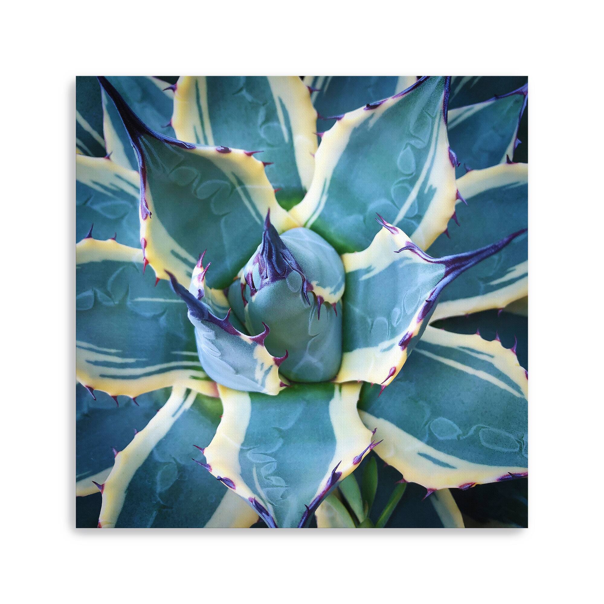 Lumaprints Elegant Thorns Canvas Giclée Wall Art
